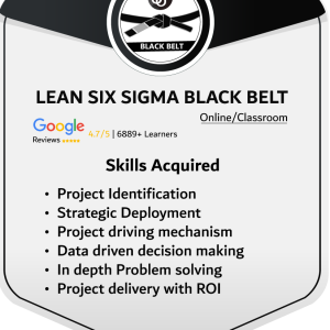 Lean Six Sigma Black Belt